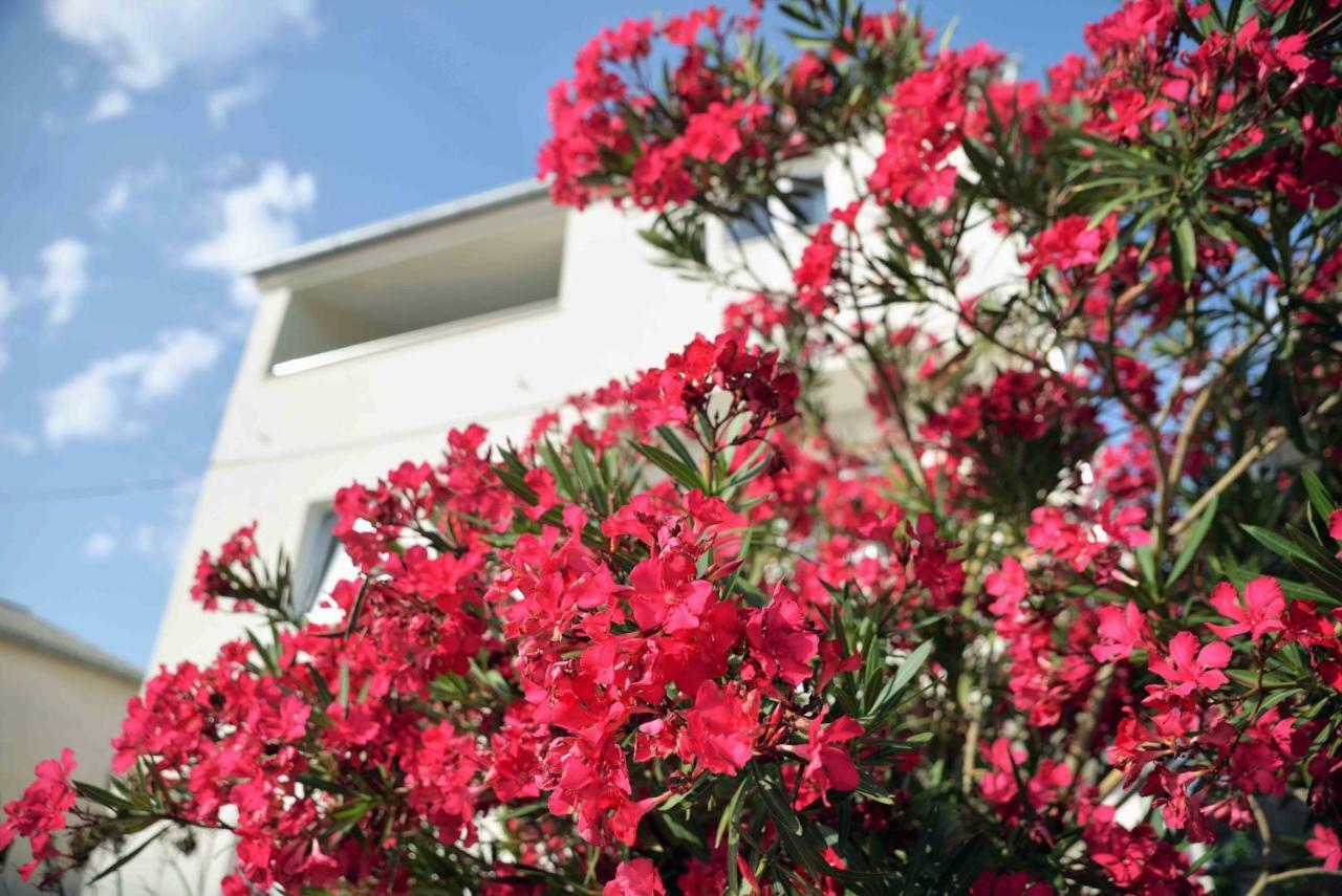 בטינה Apartments Enida מראה חיצוני תמונה